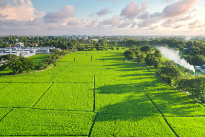 航拍地块和绿地。