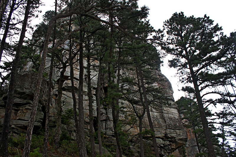 悬崖和风景在领航山，领航山州立公园，北卡罗来纳州。