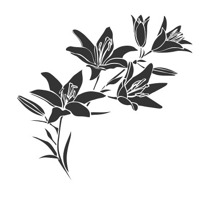 黑色轮廓莉莉。