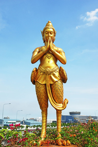 金纳雷