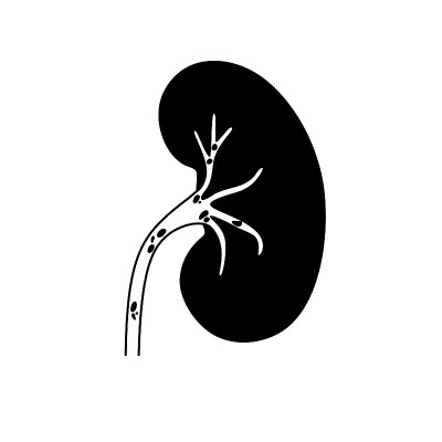 肾脏疾病的概念
