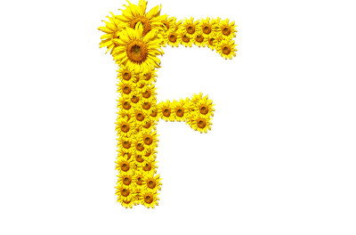 “F”向日葵字母表