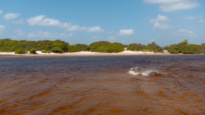 Lençóis Maranhenses国家公园的沼泽