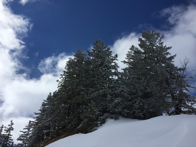 奥地利Damüls的山坡和山峰