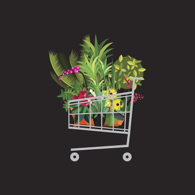 花店。装有植物的购物车。花店平面设计。
