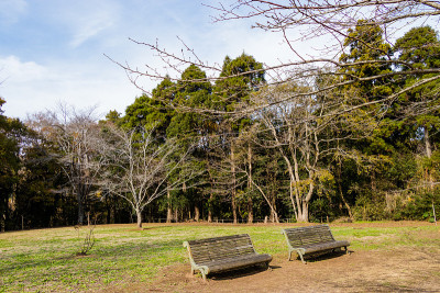 千叶市，千叶县，日本/泉自然公园千叶市，千叶县，日本