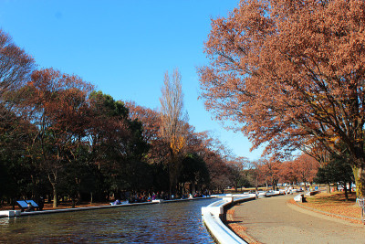 代々木公園