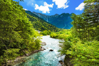 山上有树，河里有溪