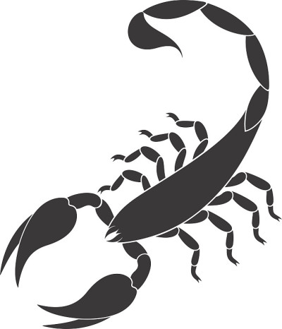 蝎子