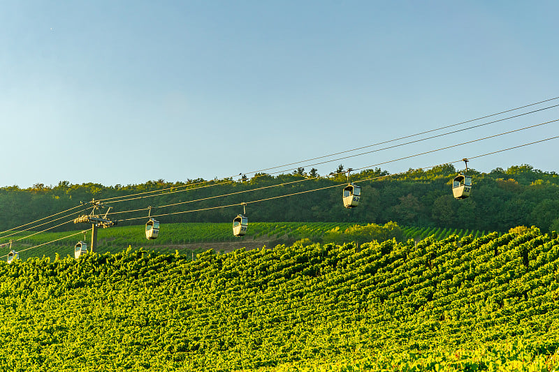 在德国莱茵Ruedesheim，载着游客穿越葡萄园的客舱电梯