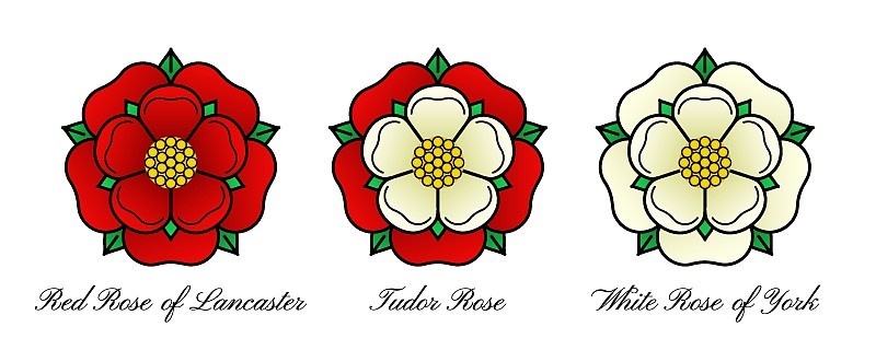 Tudoe玫瑰的英国矢量插图。