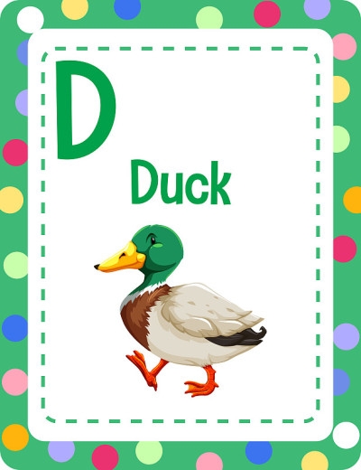 字母D代表鸭子