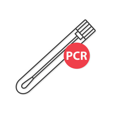 鼻拭子PCR检测COVID-19