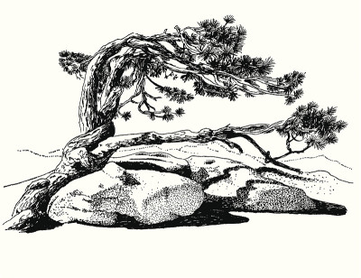 蒙特利松