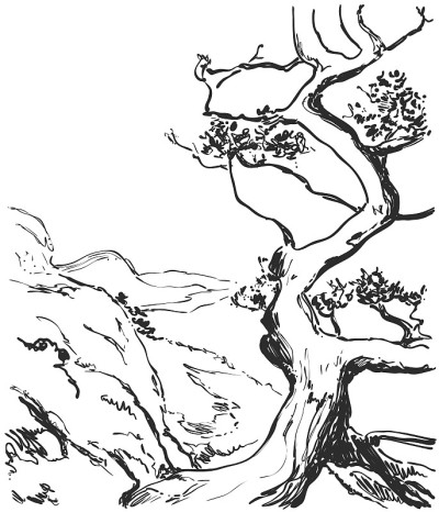 手绘景观与树和山。一页涂色书。向量草图