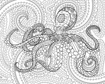 Octopus with high details.