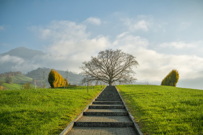 在Rigi Kussnacht附近的一个小墓地，一条通向显性树的小路