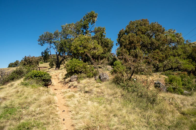 埃塞俄比亚北部塞门山国家公园的风景