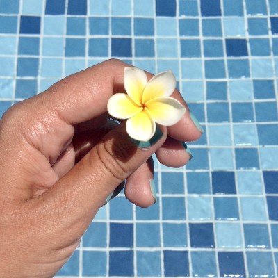茉莉花和蓝色的池塘