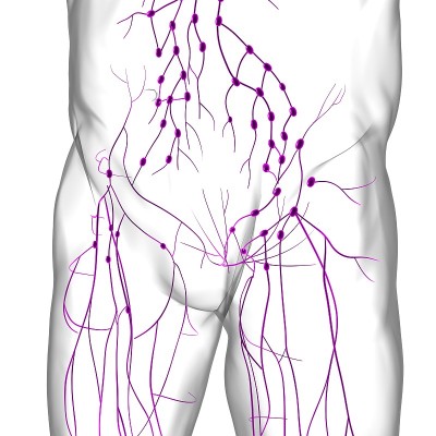 人体淋巴结解剖用于医学概念3D渲染