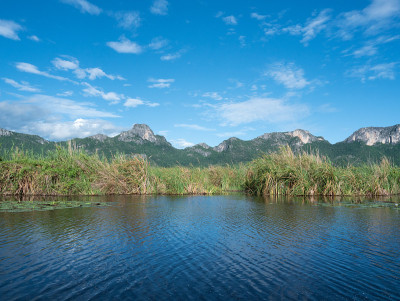 Khao Sam Roi Yot国家公园广阔湿地上的石灰岩山