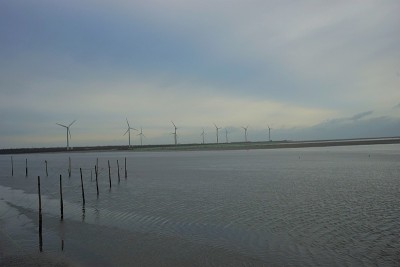 Gaomei湿地