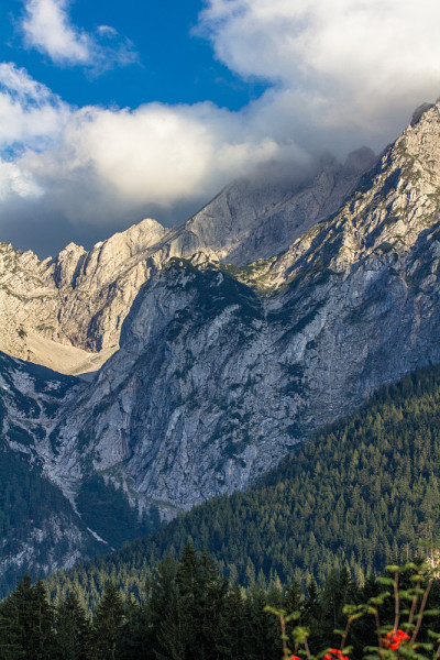 山