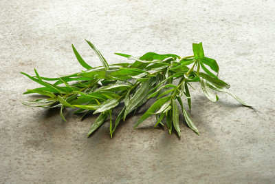 绿草龙蒿
