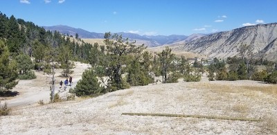 Volcanic Landscape at Mammoth Hot Springs, Yellows