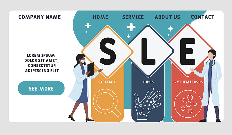 矢量网站设计模板。系统性红斑狼疮的英文缩写。