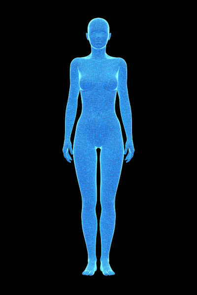 女性，人体女性，3D