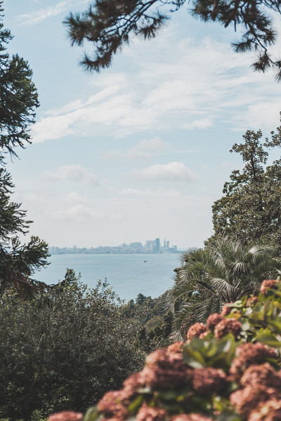 海边和城市的风景。