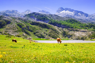 山脉景观与湖泊和牧场
