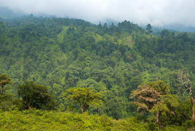 山脉全景在中美洲危地马拉，卡车到Zunil, Quetzaltenango。