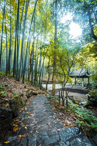 公园小路