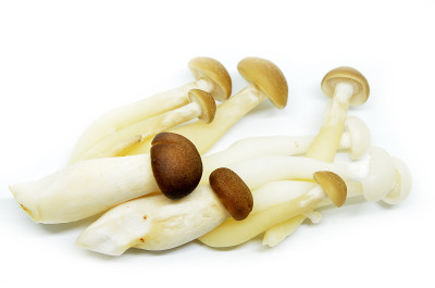 新鲜shimeji蘑菇