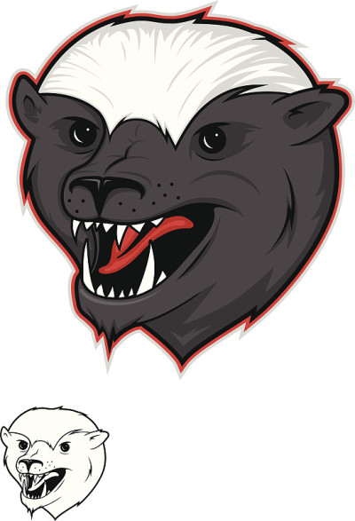 蜜獾插图