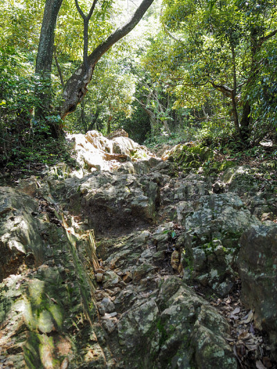 山间的小路