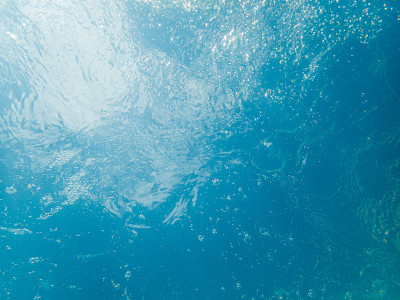 夏威夷瓦胡岛水下的泡泡