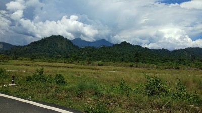 自然景观