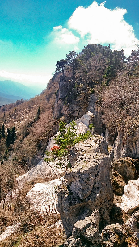 在乔治亚州的高山上，雪永远不会融化