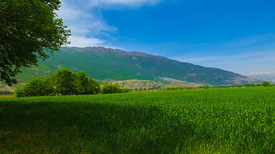 农村土地
