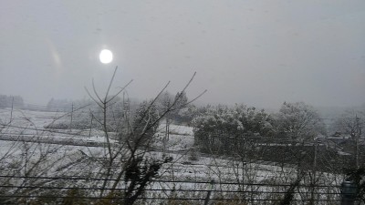 雪