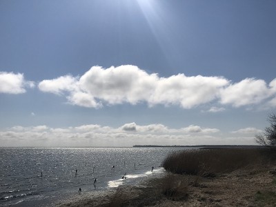 吕根Coastline
