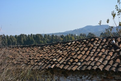 Magnesia ad Maeandrum古城，Magnesia, Germencik, Aydın