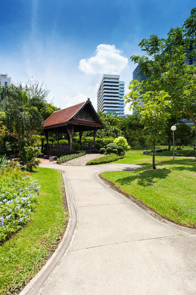 Lumphini公园;曼谷