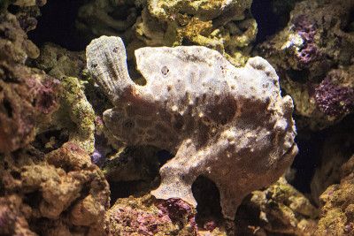 水族馆