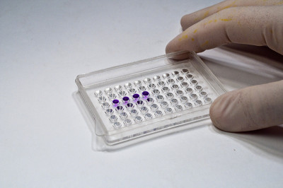 在生物研究实验室里。