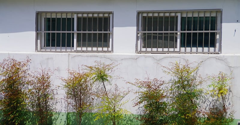 在市中心的巷子里，我遇见了带着鲜花的风景