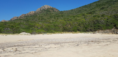 风景皮亚纳海滩，科西嘉，法国